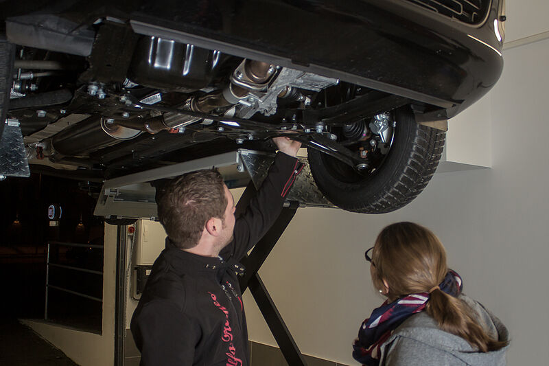 img_3515-bearbeitet img_3515-bearbeitet